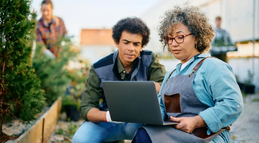 Páginas web para landscaping en Charlotte: la clave para crecer en 2026